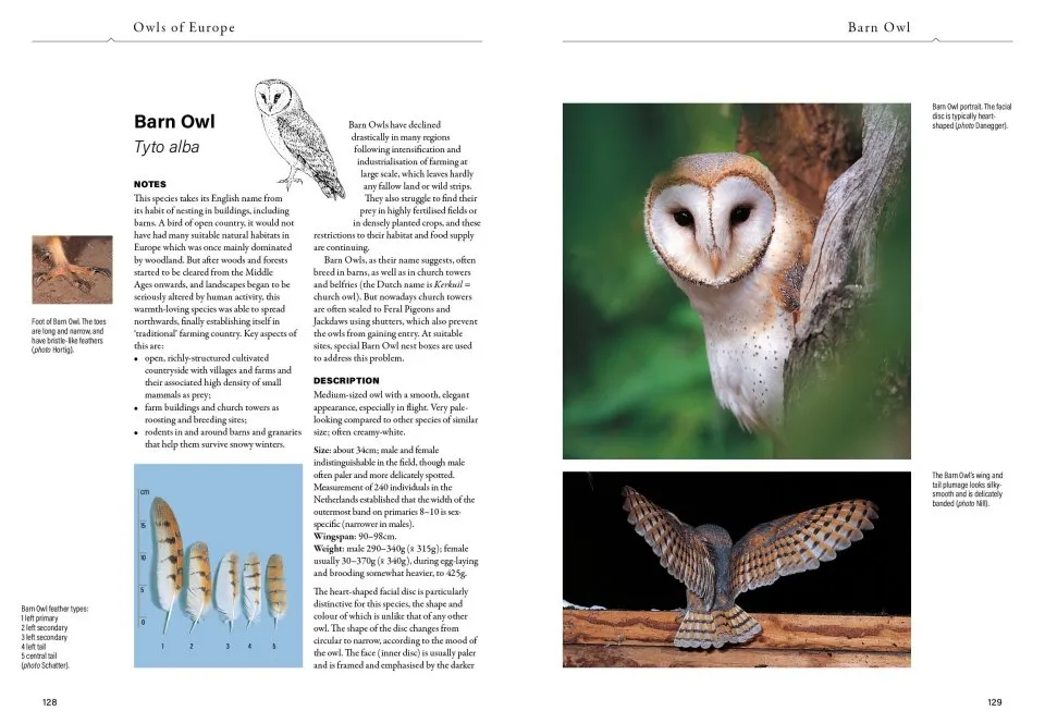 Owls of Europe - Biology, Identification and Conservation