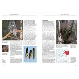Owls of Europe - Biology, Identification and Conservation