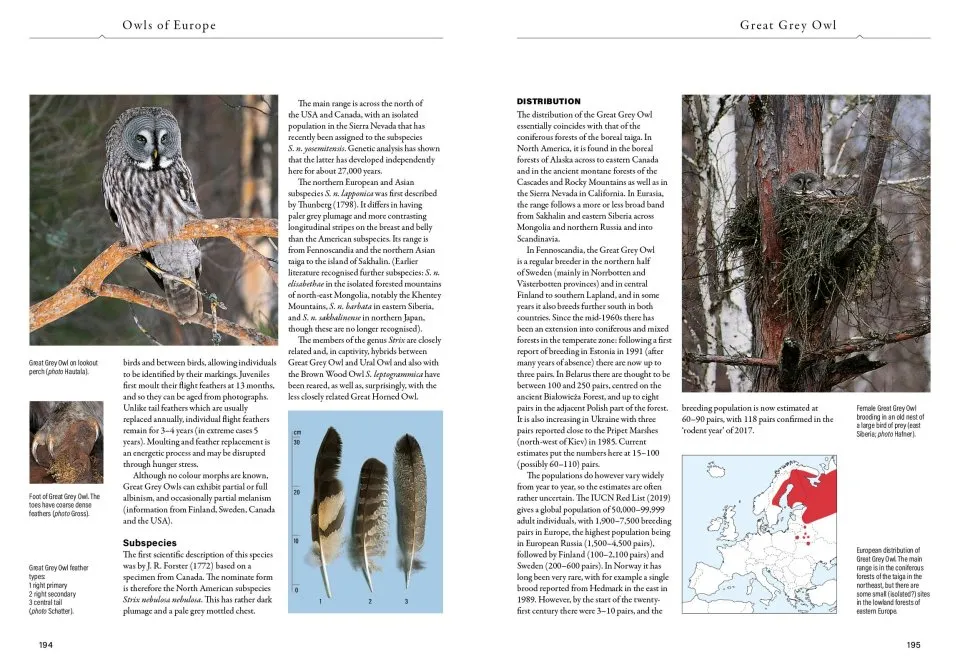 Owls of Europe - Biology, Identification and Conservation