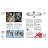 Owls of Europe - Biology, Identification and Conservation