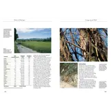 Owls of Europe - Biology, Identification and Conservation