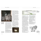 Owls of Europe - Biology, Identification and Conservation