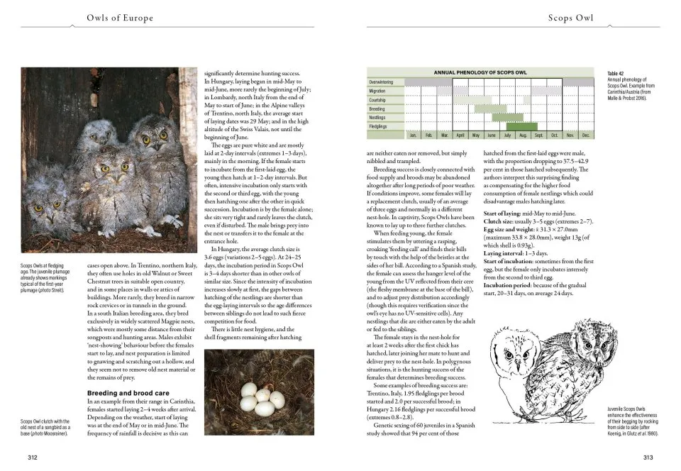 Owls of Europe - Biology, Identification and Conservation