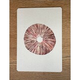 Postkarten Pilzsporen – 3er-Set