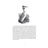 Vogels in de cultuur - Over naamgeving, legenden en sprookjes, voorspelling en geneeskunde