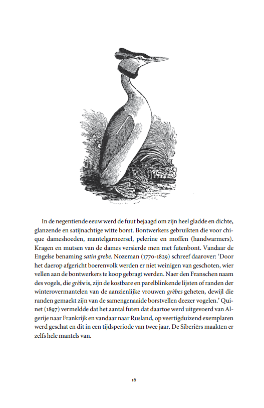 Vogels in de cultuur - Over naamgeving, legenden en sprookjes, voorspelling en geneeskunde