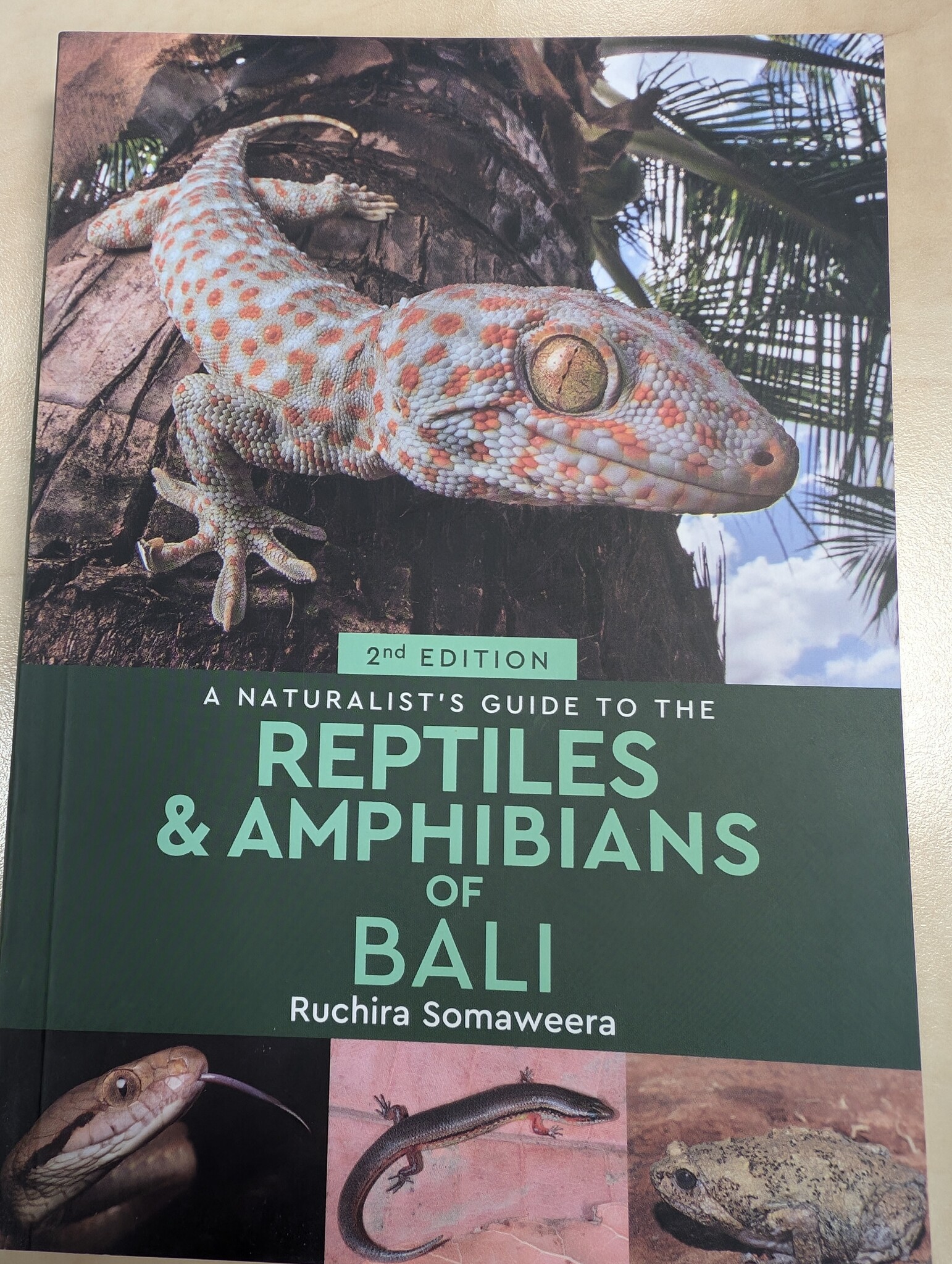 Beschadigd exemplaar - A Naturalist's Guide to the Reptiles & Amphibians of Bali