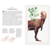 The Little Book of Dinosaurs