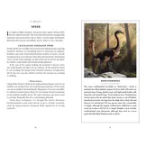 The Little Book of Dinosaurs