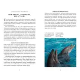 The Little Book of Whales