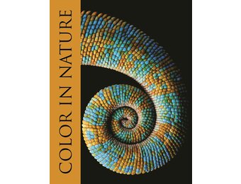 Color in Nature