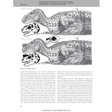 The Princeton Field Guide to Predatory Dinosaurs