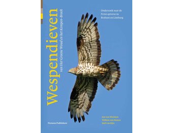 Wespendieven van het Groene Woud en het Kempen~Broek