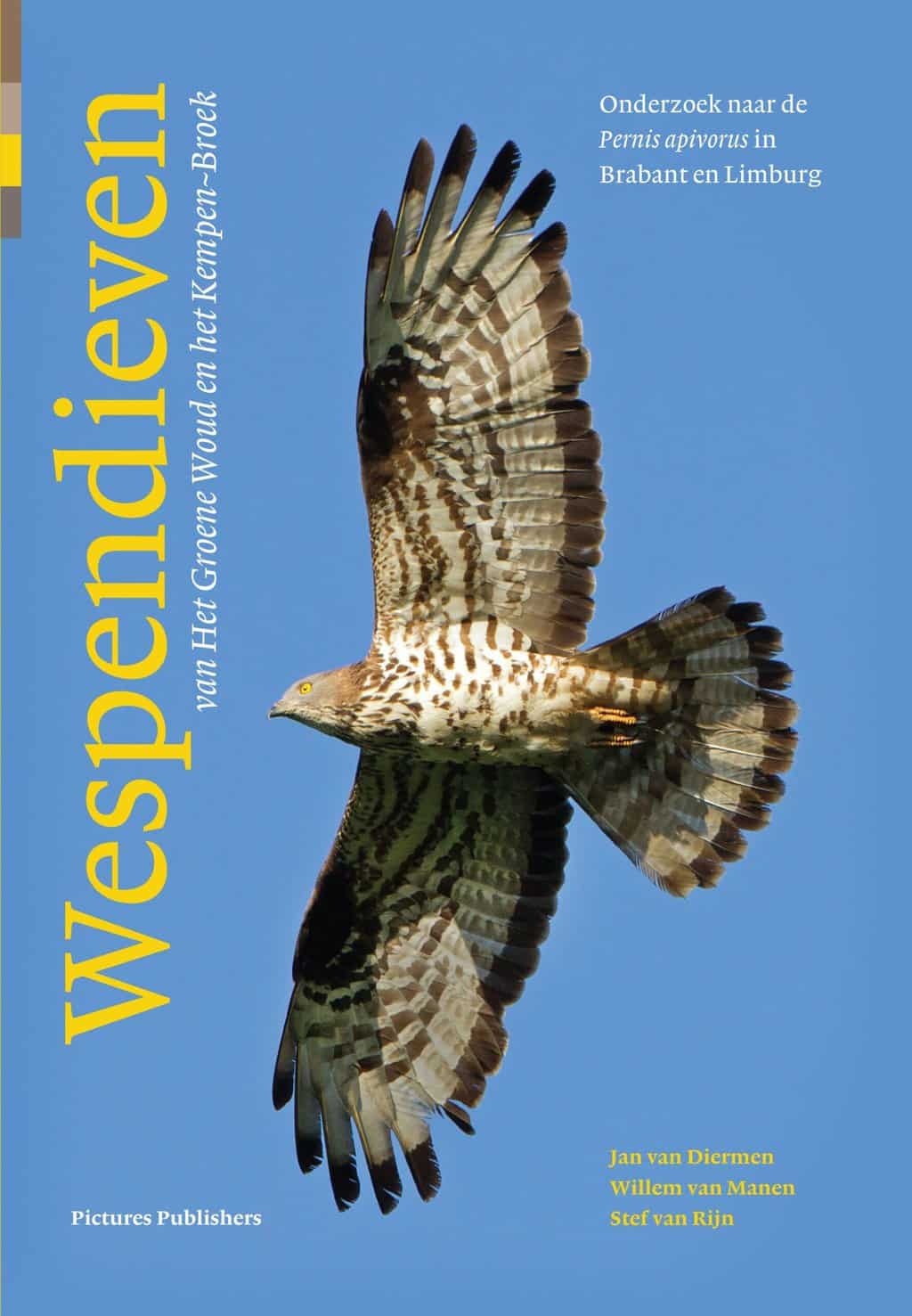 Wespendieven van het Groene Woud en het Kempen~Broek