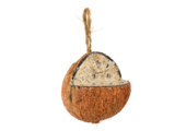 Filled coconut