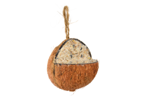 Gefüllte Kokosnuss