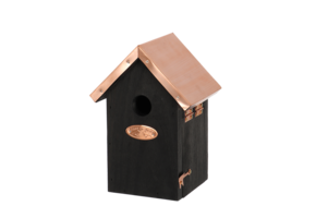 Bird House Wren Black Copper