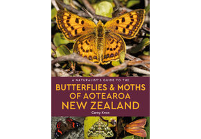A Naturalist’s Guide to the Butterflies & Moths of Aotearoa New Zealand