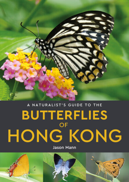 A Naturalist’s Guide to the Butterflies of Hong Kong