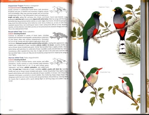 Field Guide to the Birds of the Dominican Republic & Haiti