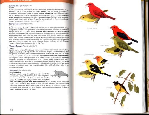 Field Guide to the Birds of the Dominican Republic & Haiti
