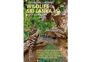 A Photographic Guide to the Wildlife of Sri Lanka