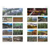 A Field Guide to the Snakes of Australia