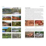 A Field Guide to the Snakes of Australia