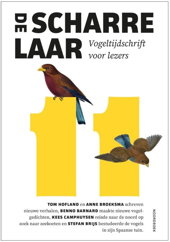 De Scharrelaar 11 / 2024 - Vogeltijdschrift voor lezers