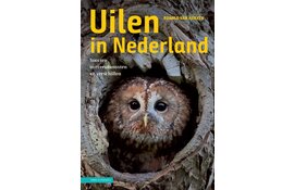 Uilen in Nederland