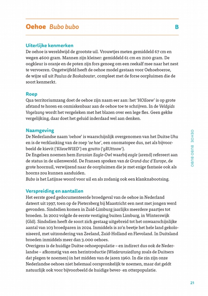 Uilen in Nederland - Soorten, overeenkomsten en verschillen