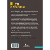 Uilen in Nederland - Soorten, overeenkomsten en verschillen