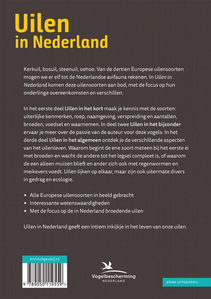 Uilen in Nederland - Soorten, overeenkomsten en verschillen