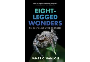 Eight-Legged Wonders