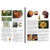 Les Bryophytes de France - Volume 2 - Pleurocarpes et Sphagnales