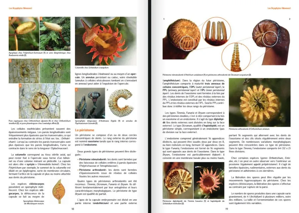 Les Bryophytes de France - Volume 2 - Pleurocarpes et Sphagnales