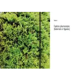 Les Bryophytes de France - Volume 2 - Pleurocarpes et Sphagnales