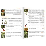 Les Bryophytes de France - Volume 2 - Pleurocarpes et Sphagnales