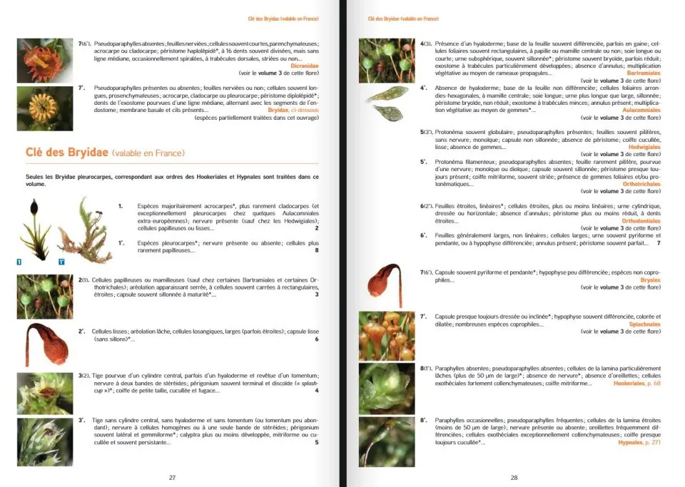 Les Bryophytes de France - Volume 2 - Pleurocarpes et Sphagnales