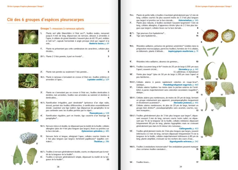 Les Bryophytes de France - Volume 2 - Pleurocarpes et Sphagnales