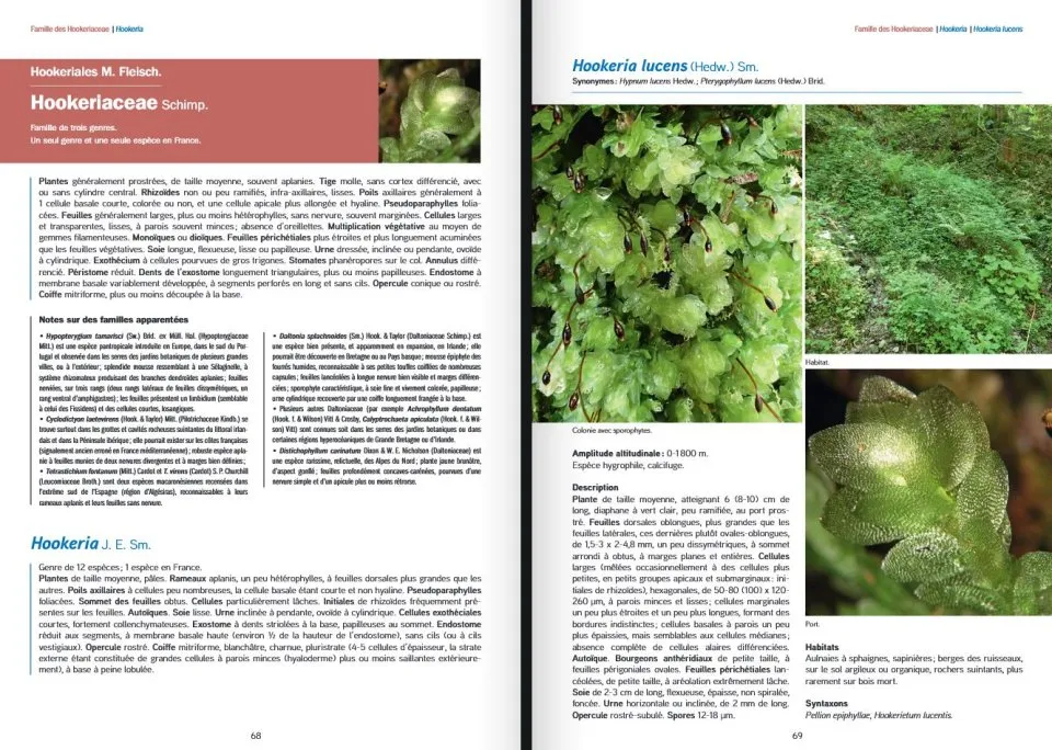 Les Bryophytes de France - Volume 2 - Pleurocarpes et Sphagnales
