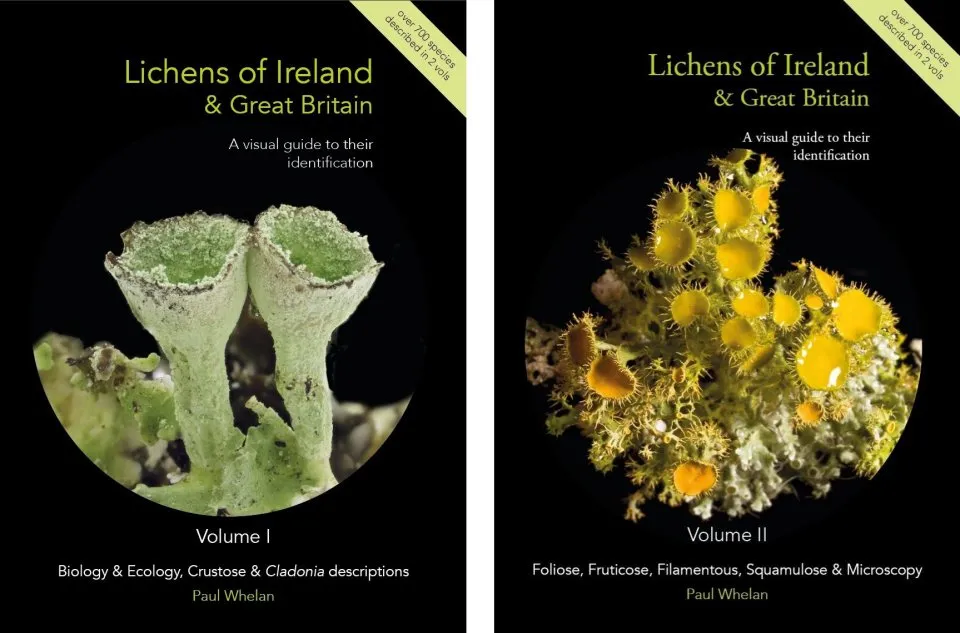 Lichens of Ireland and Great Britain - A visual guide to their identification