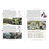 Lichens of Ireland and Great Britain - A visual guide to their identification