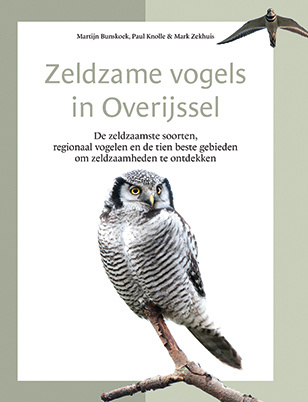 Zeldzame vogels in Overijssel