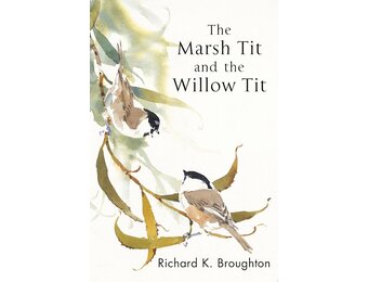 The Marsh Tit and The Willow Tit