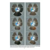 Atlas of Feathers for Western Palearctic Birds - Volume 1: Introduction