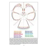 Atlas of Feathers for Western Palearctic Birds - Volume 1: Introduction