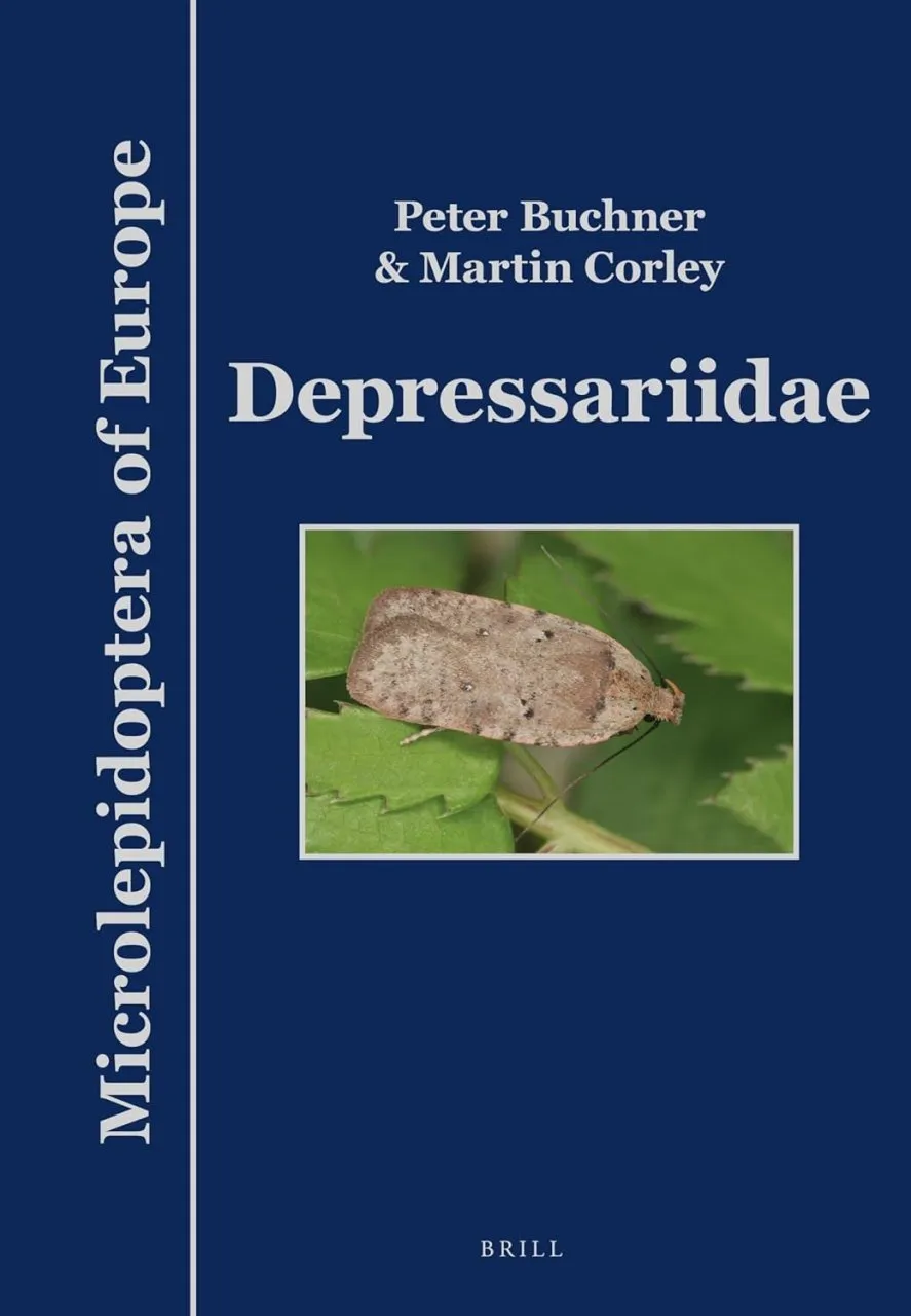 Microlepidoptera of Europe, Volume 10 - Depressariidae