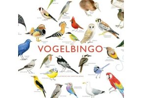 Bird bingo