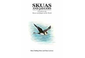 Skuas and Jaegers